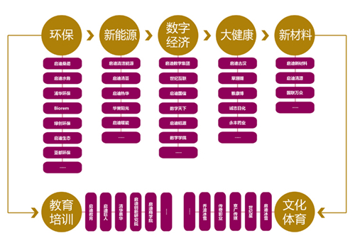 启迪控股股份有限公司