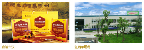 启迪控股股份有限公司